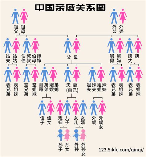 祖父母 曾祖父母|一张图看懂辈分称呼，别再叫错了！